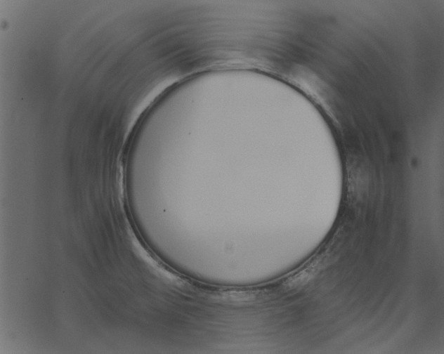 X0000062671476200601111231