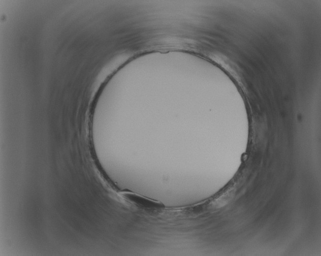 X0000062671477200601111231