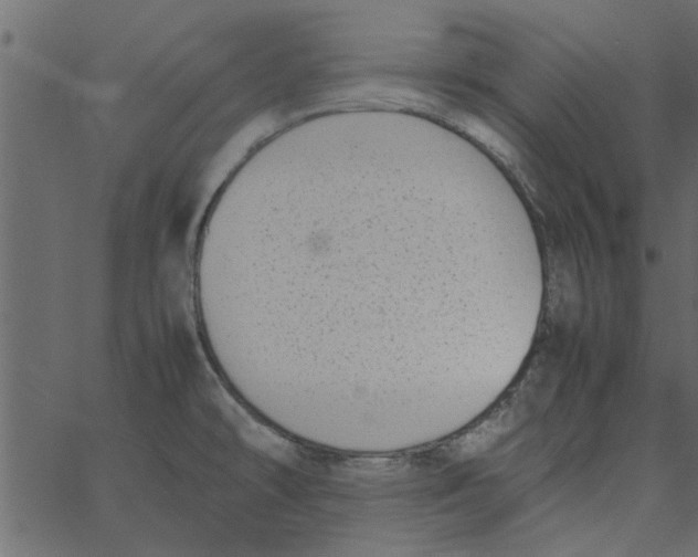 X0000062671478200601111231