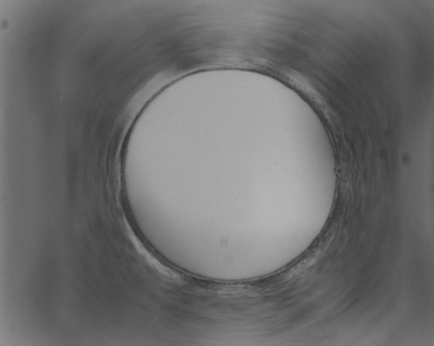 X0000062671479200601111231