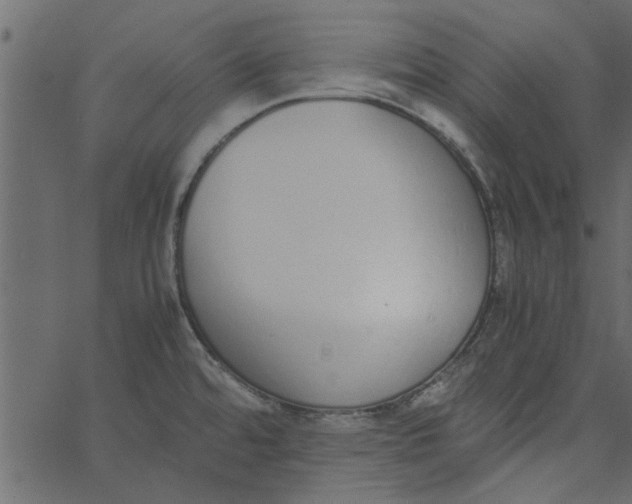 X0000062671480200601111231