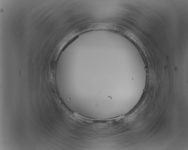 X0000062671481200601111231