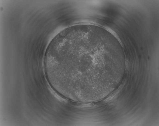 X0000062671482200601111231