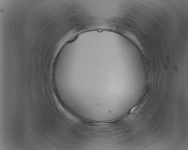 X0000062671483200601111231