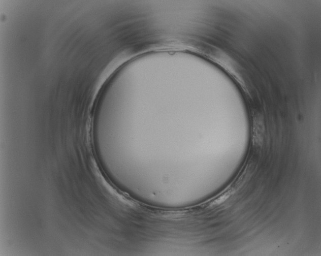 X0000062671484200601111231