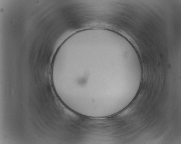 X0000062671486200601111231