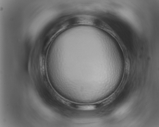 X0000062671487200601111231