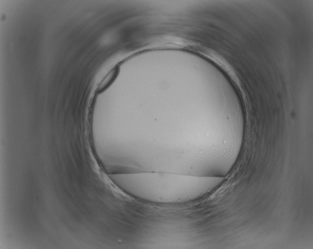 X0000062671488200601111231