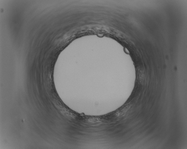 X0000062671489200601111230