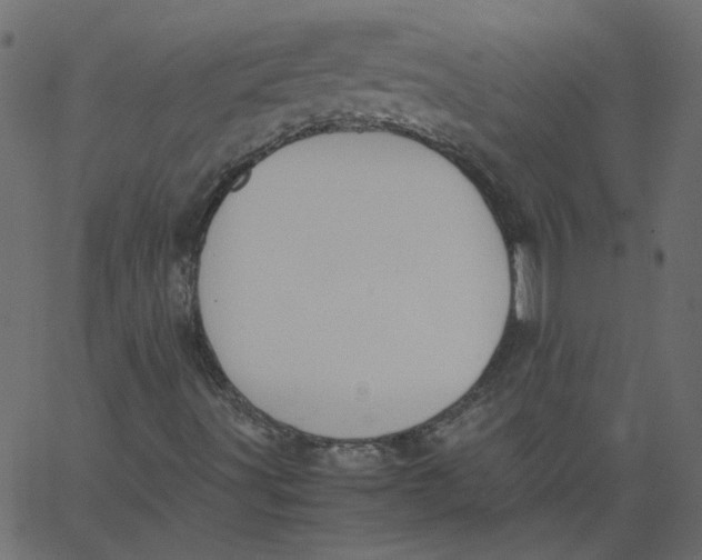 X0000062671491200601111230