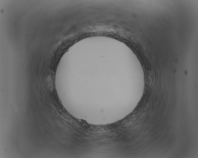 X0000062671493200601111230