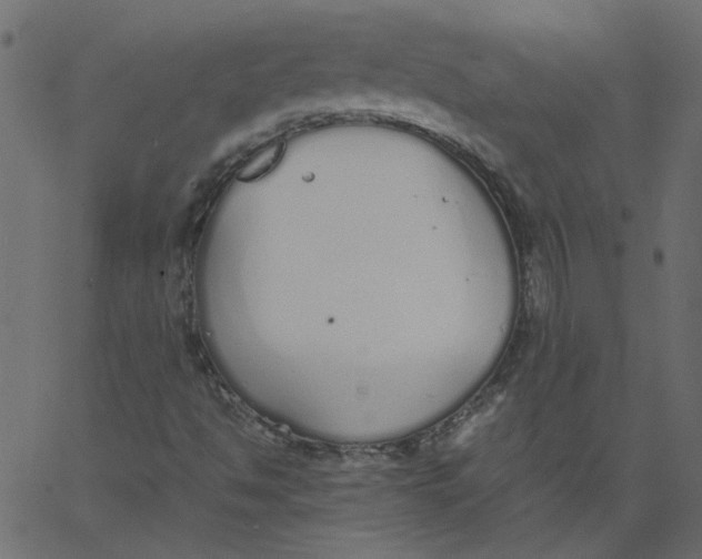 X0000062671494200601111230