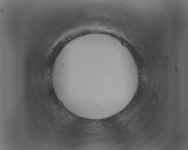 X0000062671495200601111230