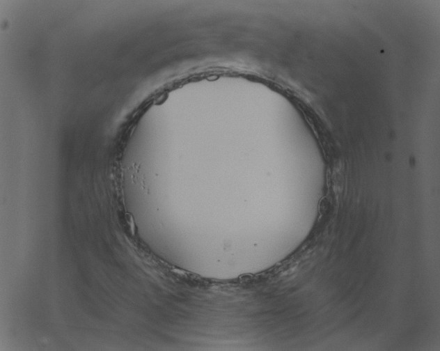 X0000062671496200601111230