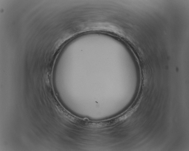 X0000062671497200601111230