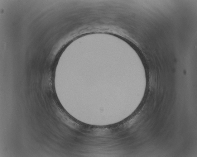 X0000062671498200601111230