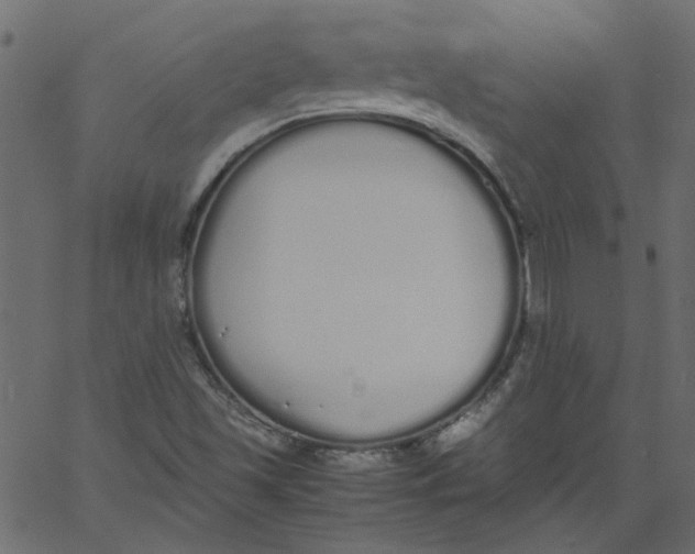 X0000062671501200601111230