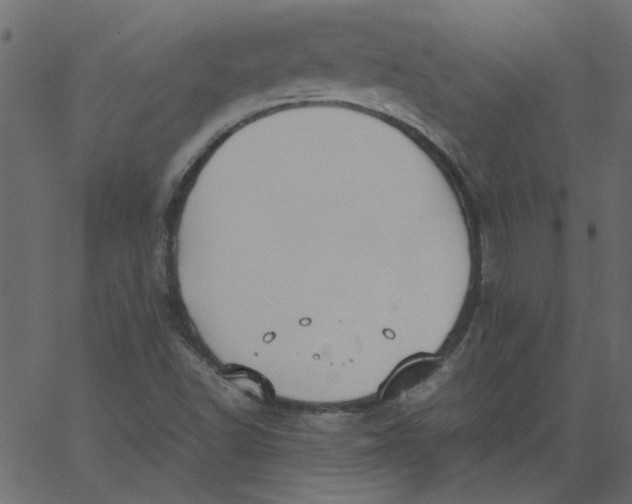 X0000062671502200601111230