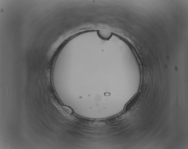 X0000062671503200601111230