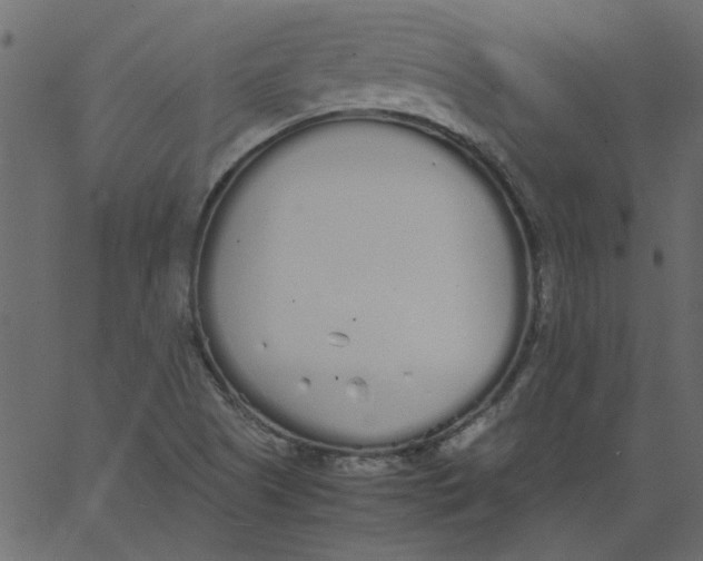 X0000062671505200601111230