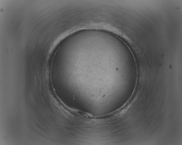 X0000062671506200601111230