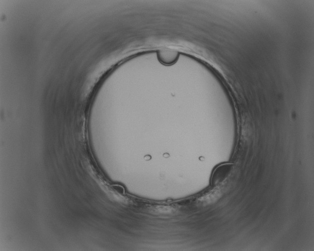 X0000062671507200601111230