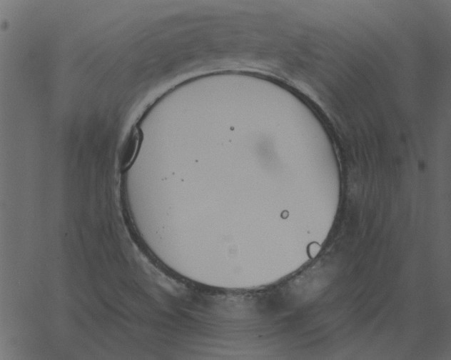 X0000062671508200601111230