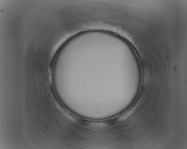 X0000062671509200601111230