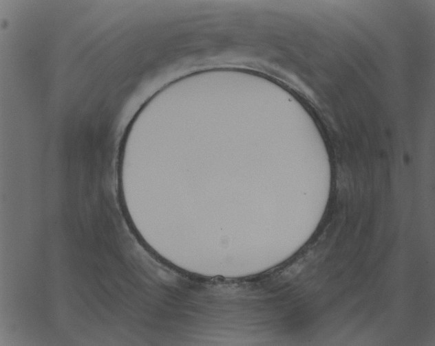 X0000062671512200601111230