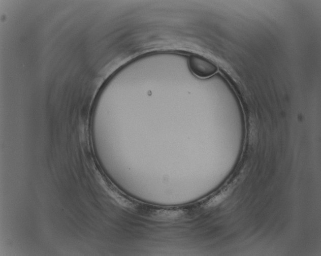 X0000062671513200601111230