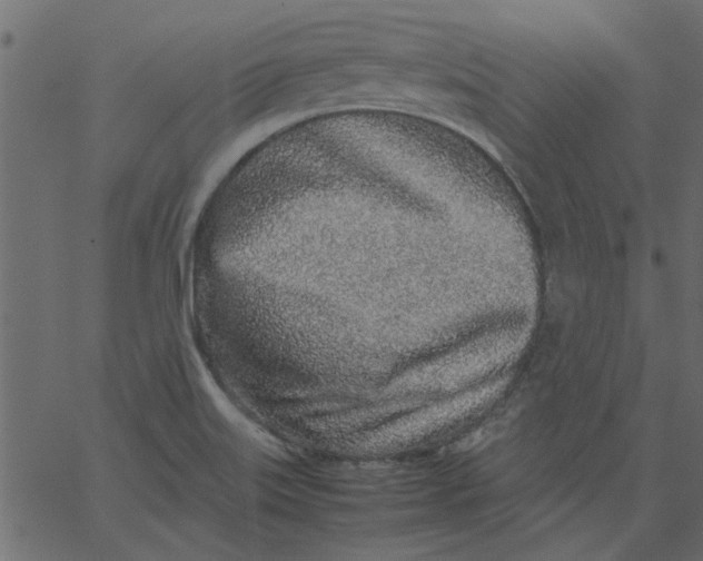 X0000062671515200601111230