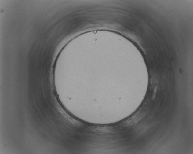 X0000062671516200601111230