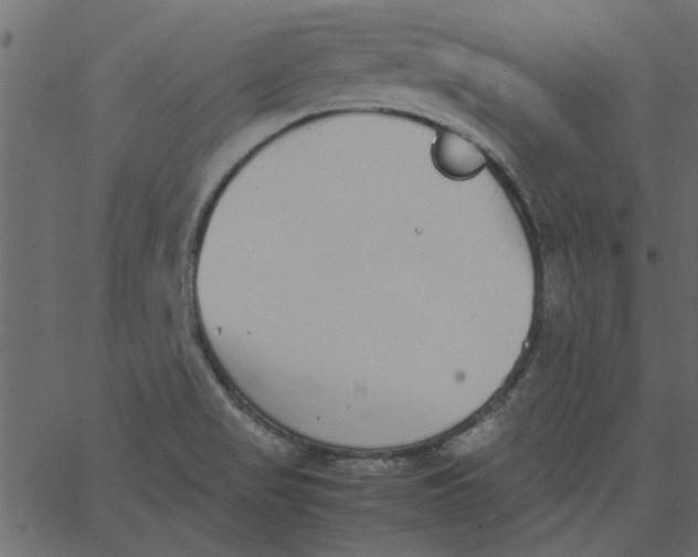 X0000062671517200601111230