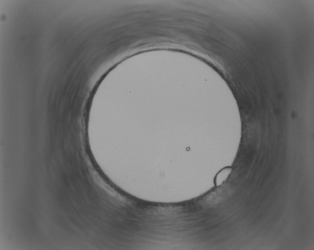 X0000062671518200601111231