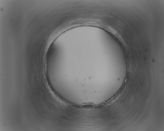 X0000062671520200601111231