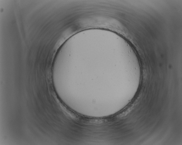 X0000062671521200601111231