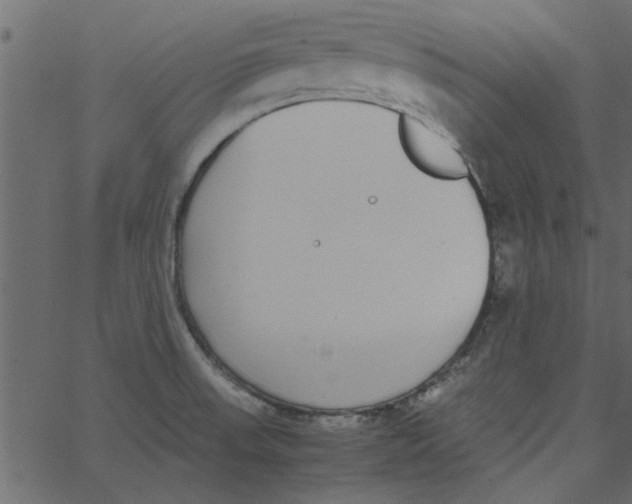 X0000062671523200601111231