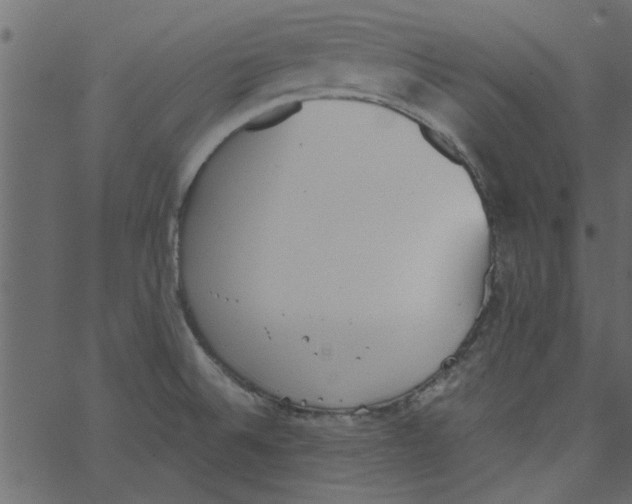 X0000062671524200601111231