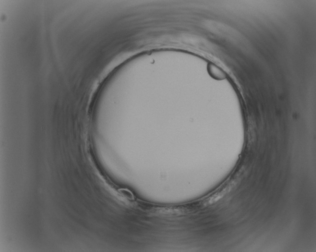 X0000062671525200601111231