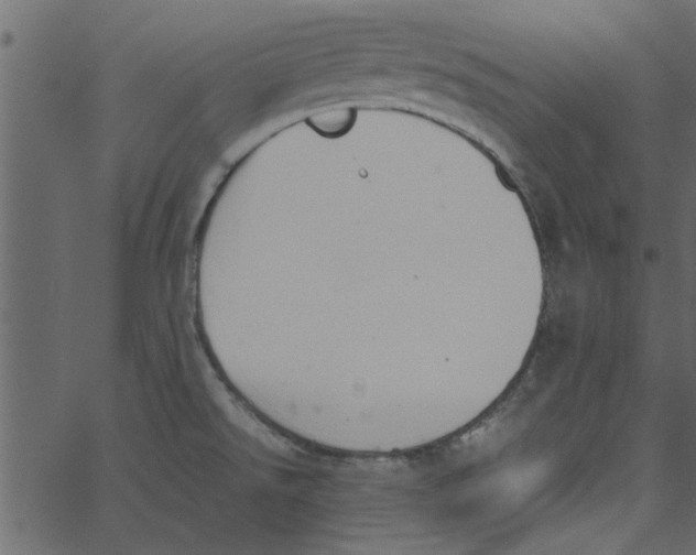 X0000062671526200601111231