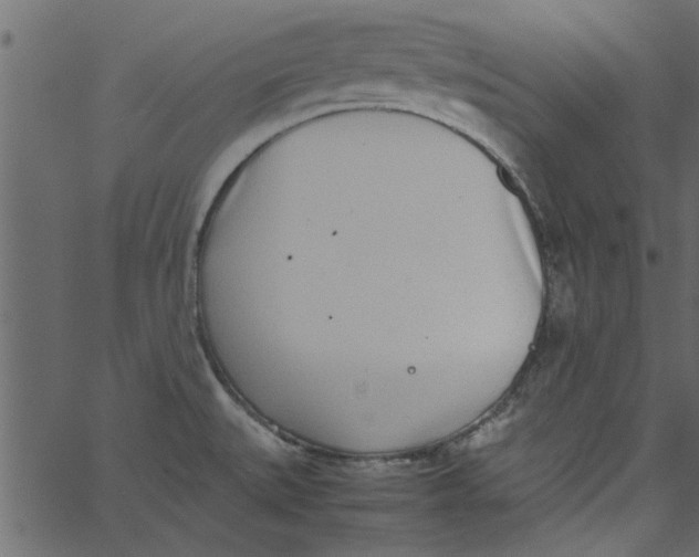 X0000062671527200601111231