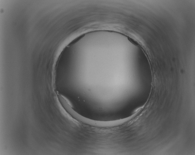 X0000062671528200601111231