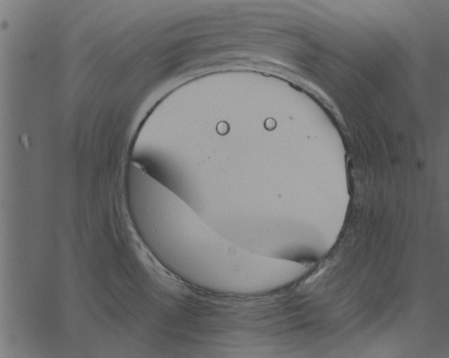 X0000062671530200601111231