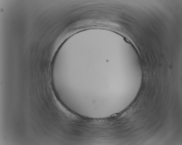 X0000062671531200601111231