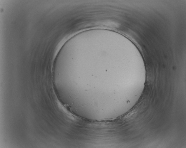 X0000062671532200601111231