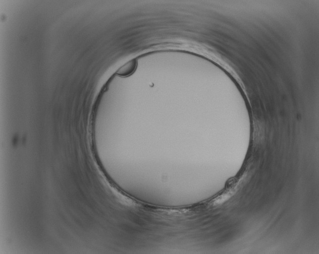 X0000062671533200601111231