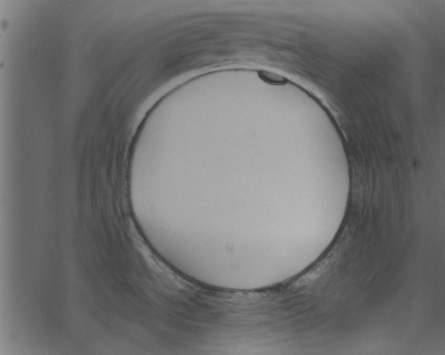 X0000062671534200601111231