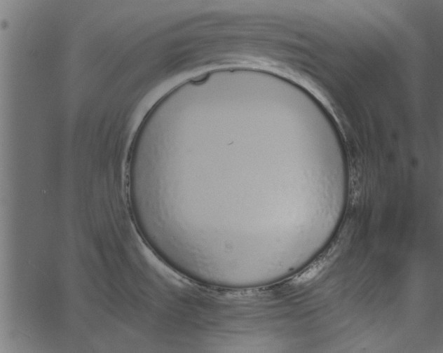 X0000062671535200601111231