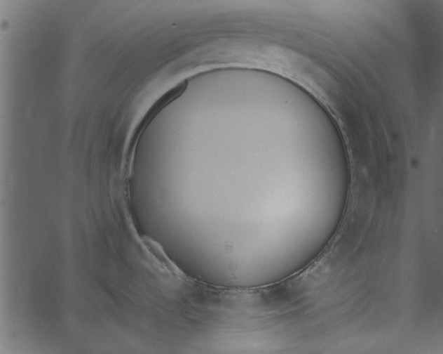 X0000062671536200601111231