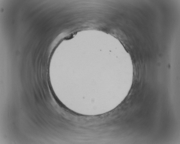 X0000062670003200601181912